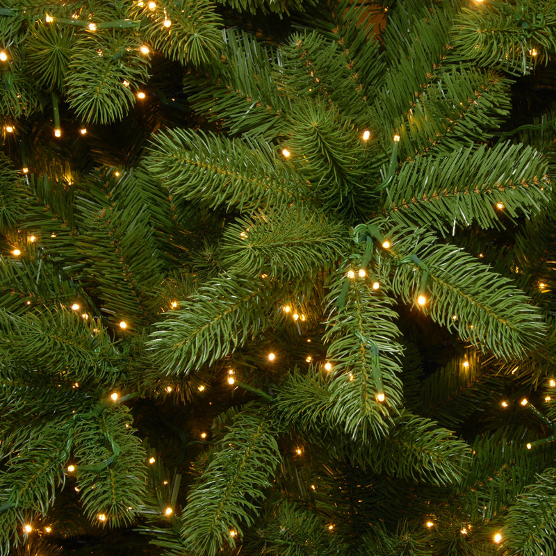 7.5 ft. Downswept Douglas Fir Tree with Dual Color® LED Cosmic Lights®