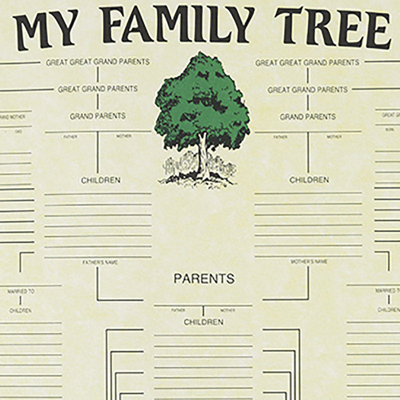 Large Genealogy Family History Tree Genetic Ancestry Chart Big Poster Wall Hanging Sign