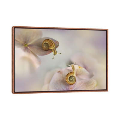 Little Snails by Ellen Van Deelen - Floater Frame Print on Canvas