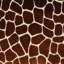 Melman Pillow Cover & Insert-67025090-5056107