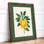 Lemon Study Botanical - Framed Print-634892048-634892049