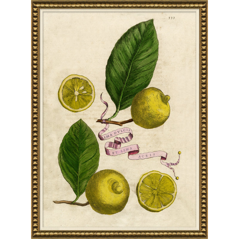 «Lemons and Ribbons», reproduction de cadre photo