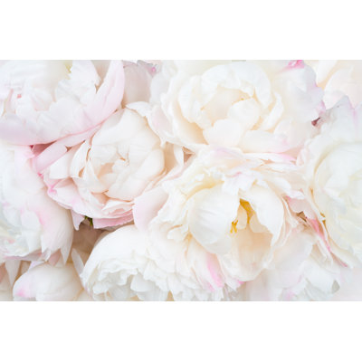 Beautiful Floral Background by Konstantingushcha - Wrapped Canvas Print