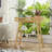 2 Tier Small Plant Table
