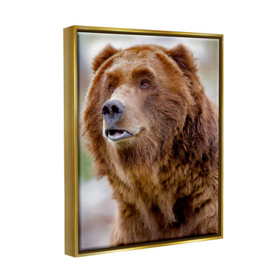 Stupell Industries Brown Bear Portrait Canvas Wall Art Design by Dennis Frates -  aw-661_ffb_16x20