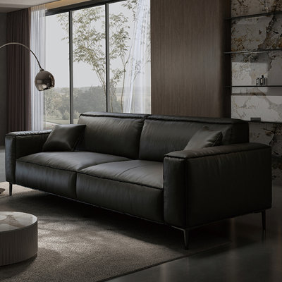 Black Genuine Leather Standard Sofa