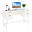 Coggin Metal Base Computer Desk