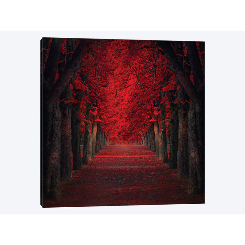 Ildiko Neer - Wrapped Canvas Print, 45.72 cm H x 45.72 cm W x 1.91 cm D