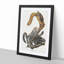 Cat Squirrels by J.W. Audubon - Picture Frame Graphic Art Print-55513685-55513687