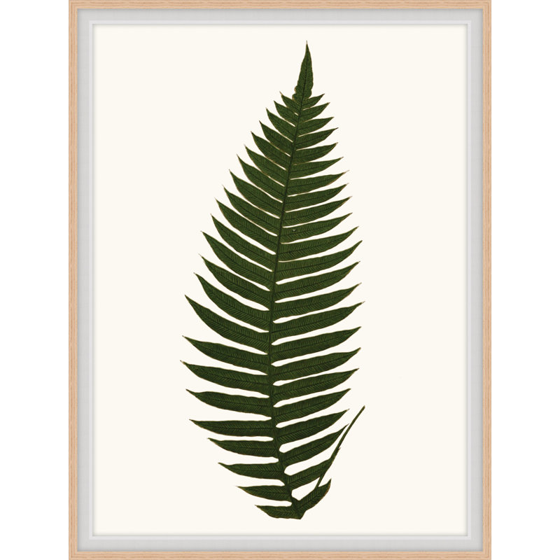 Elevated Undergrowth 1 Print by Art House Studios, 24" H x 19" W x 2" D
