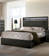 Petronille Storage Bed