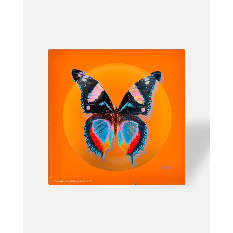 Spiritueux orange
