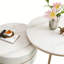 2 tables basses avec rangement-1266465163-1266465166