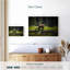 Crowle Sequoia Wild Bears-111830820