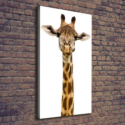 Giraffe - Wrapped Canvas Print