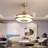 42'' Ceiling Fan with LED Lights