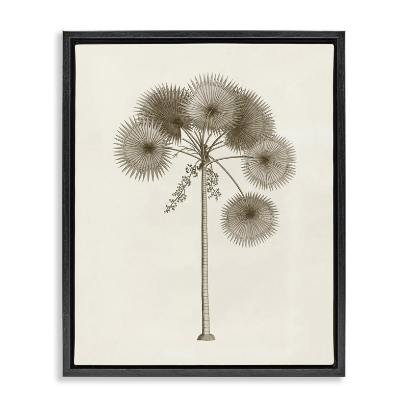Étude vintage de cadre flottant palmier, conception par Phillipa Katz, H 21 po x l 17 po, Cadre flottant noir de jais