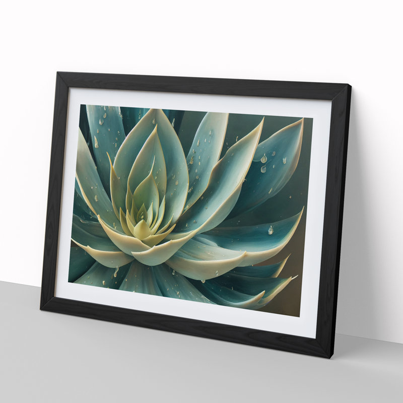 Tantalising Succulent Plant - Single Picture Frame Print, 25cm H x 34cm W x 2cm D, Black