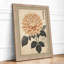 Chrysanthemum Study Japandi - Framed Print-109229552-109229564