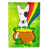 Bull-terrier