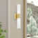 Cailum 2 - Light Dimmable Vanity Light