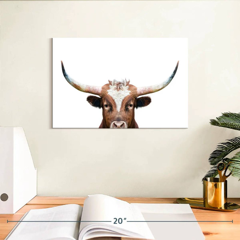 Brampt Peeking Long Horn, H 8 po x l 12 po