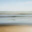 Don'T Bother With Texas Beaches Print by Toni Toscano-121294974