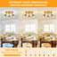 Directionnel et projecteur-114357190-129037193