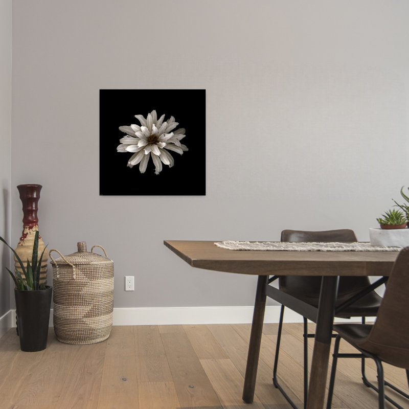 All White Contemporary Flower Art, 24" H x 24" W