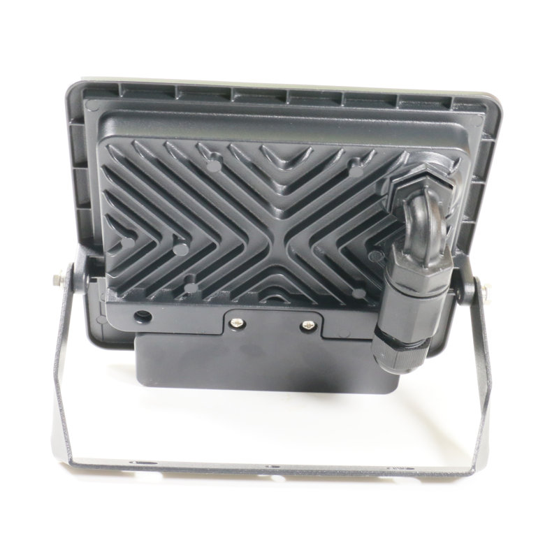 Amie-Leigh Flood Light