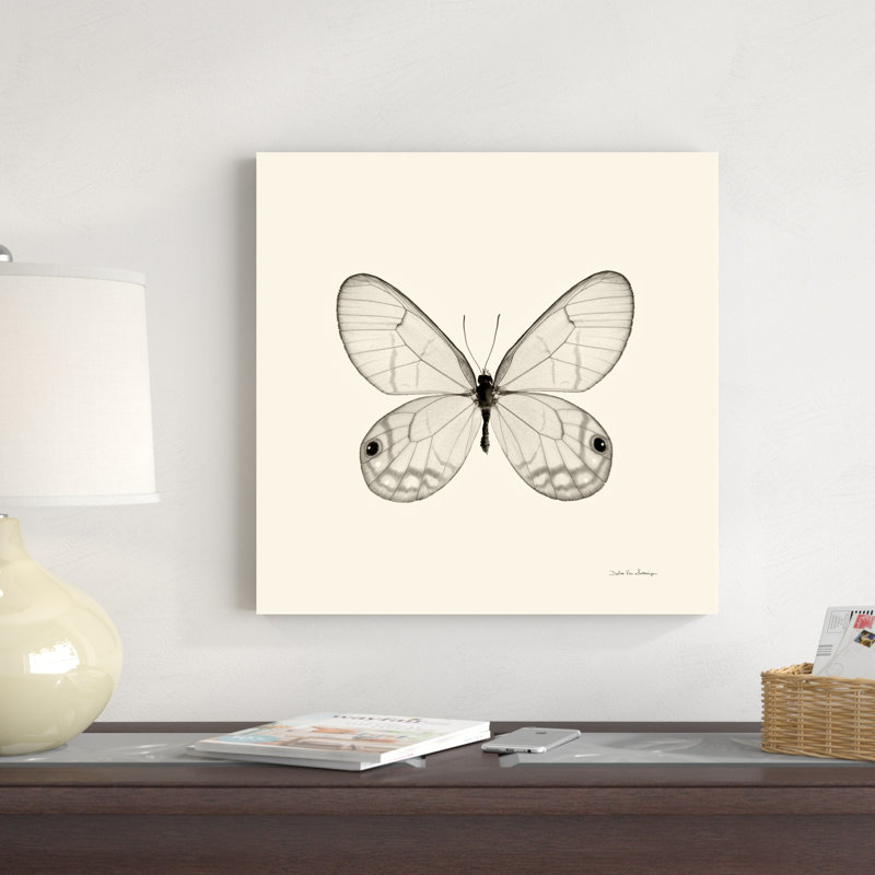 Papillon I BW, H 20 po x l 20 po