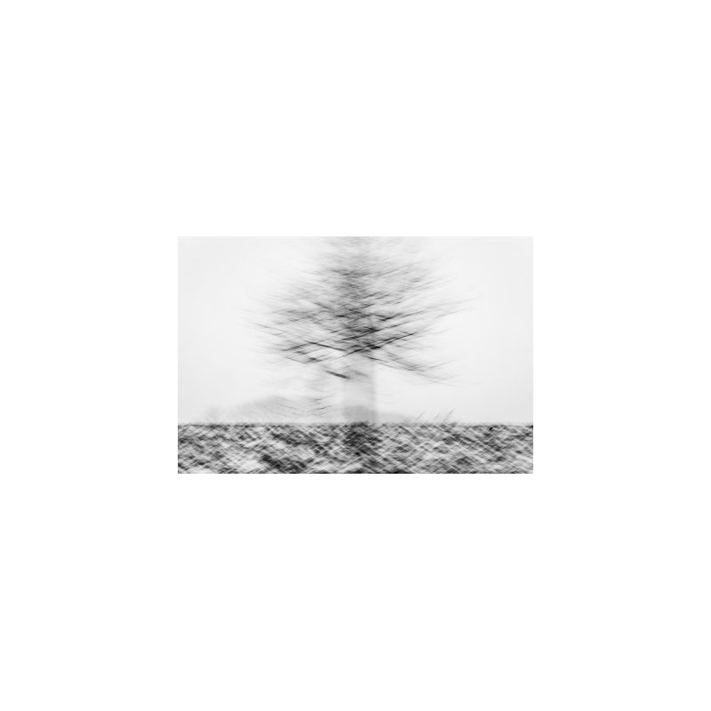 Wrapped Canvas Print, 60.96 cm H x 91.44 cm W