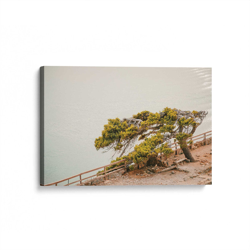 Impression sur toile Windswept Beauty, H 12 po x l 18 po x P 1,25 po, Toile tendue