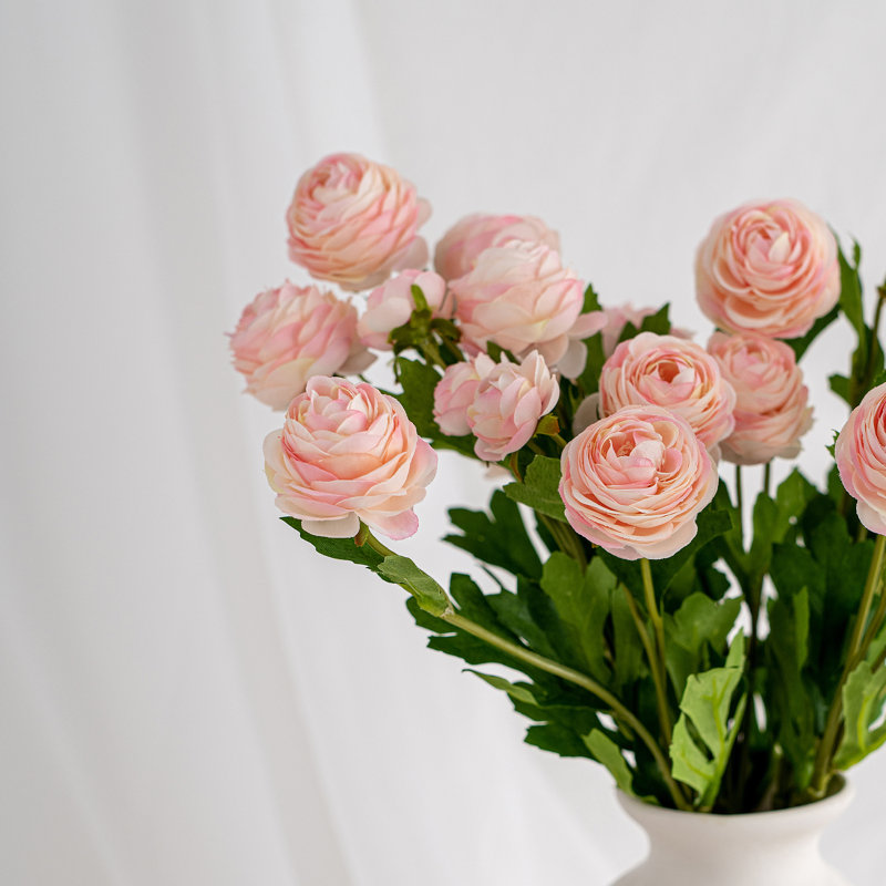 Fleurs de rose bouton d'or persan Audet, Rose