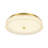 Galaxy-Like Dimmable LED Flush Mount