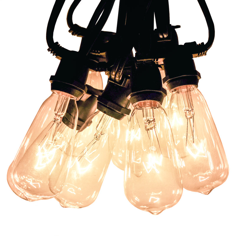 Guirlande commerciale de 50 pi avec 40 ampoules Edison de qualité commerciale (de bout en bout), Noir, 300 po L