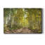 " Aspen Drive "-613247382