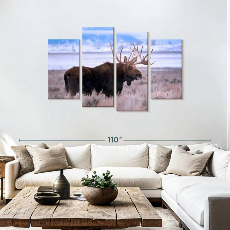 Brampt Teton Bull Moose, 48" H x 75" W