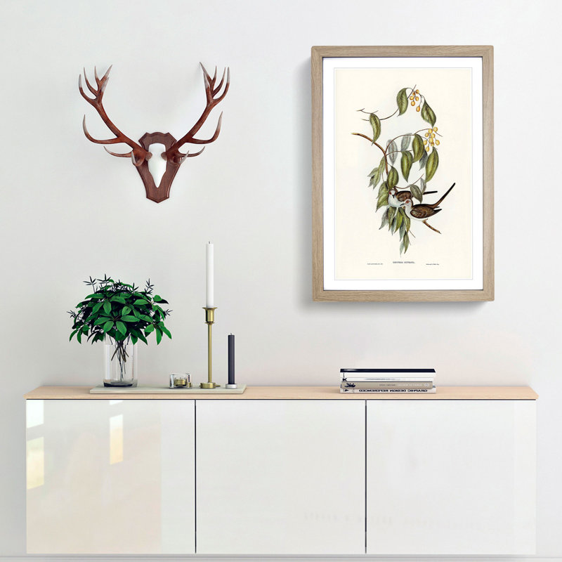 Graceful Ground Doves by Elizabeth Gould - Picture Frame Graphic Art Print, 48cm H x 36cm W x 2cm D, Oak Framed