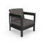 Ensemble 2 pièces de chaise club de patio moderne avec coussins Sunbrella