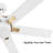 52'' Ceiling Fan with LED Lights-1847207797