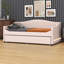 Lit de jour rembourré en molleton Teddy (taille simple) - léger et gigogne inclus-237898028