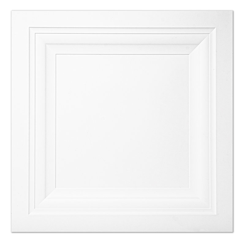 2 ft. x 2 ft. Drop-In Ceiling Tile,Waterproof PVC Ceiling Tile,12-Pack(48 sq.ft/Case), White