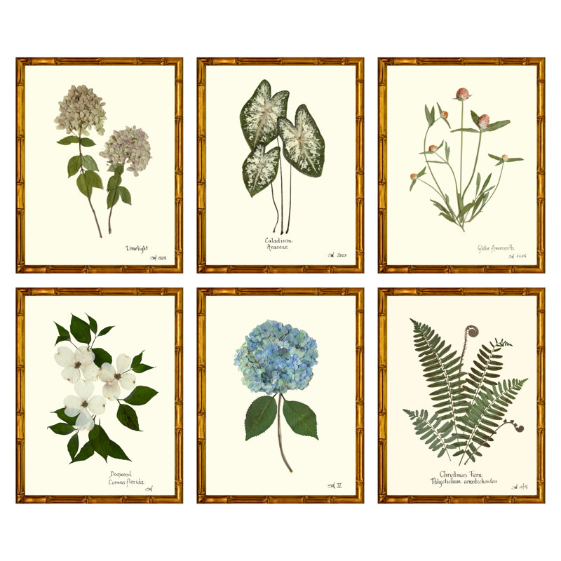 Pressed Botanical Set by Sandy Whitaker, 35" H x 39.75" W, Gold