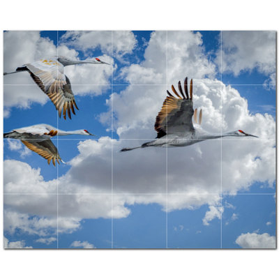 Picture-Tiles.com PT500140-54XL