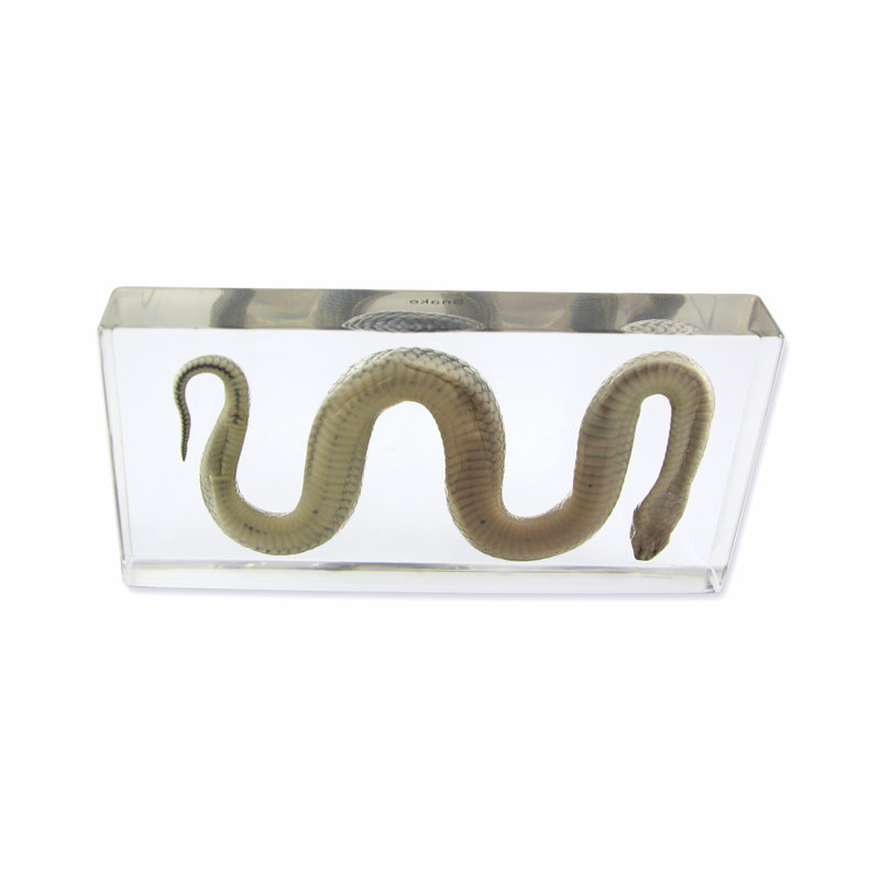 Procopio Animals Figurines & Sculptures