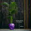 Handmade Planter-52455010