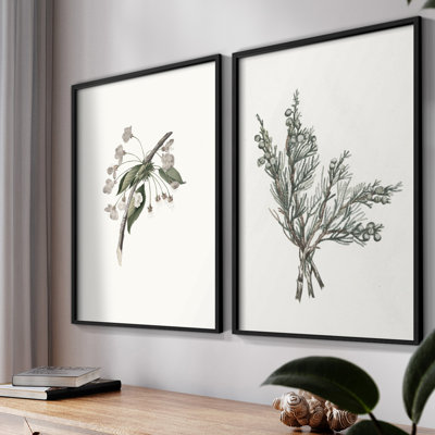 Vintage  Floral XXVI  -Framed Giclee Print - Set of 2