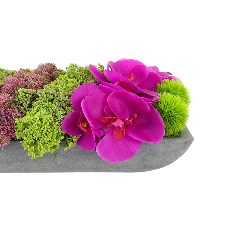 Arrangement orchidée et sédum dans un pot en fibre de pierre, H 6,5 po x l 19,5 po x P 9 po, Gris