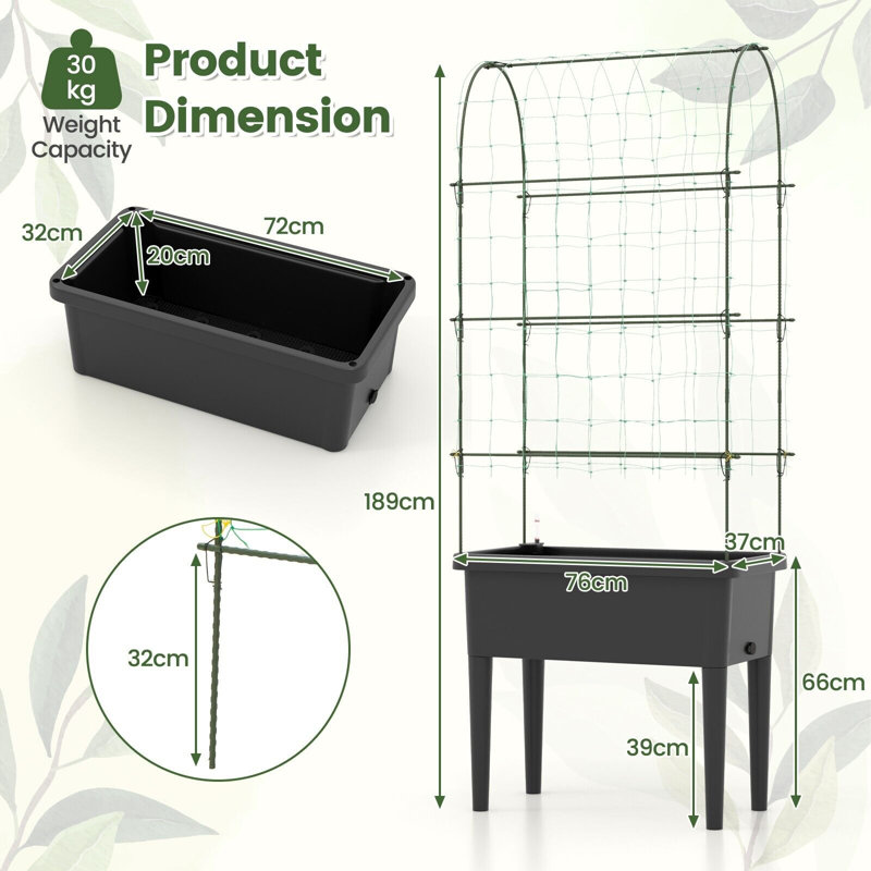 Carmenate 189cm H x 76cm W Metal Gothic Trellis